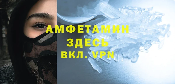 PSILOCYBIN Алзамай