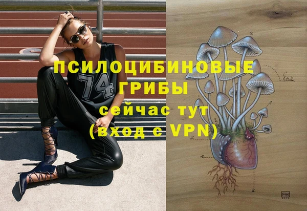 мяу мяу мука Арсеньев