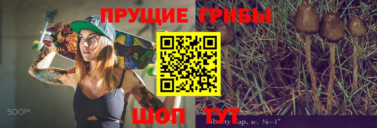 Галлюциногенные грибы прущие грибы  Вход с VPN  где найти наркотики  Симферополь 